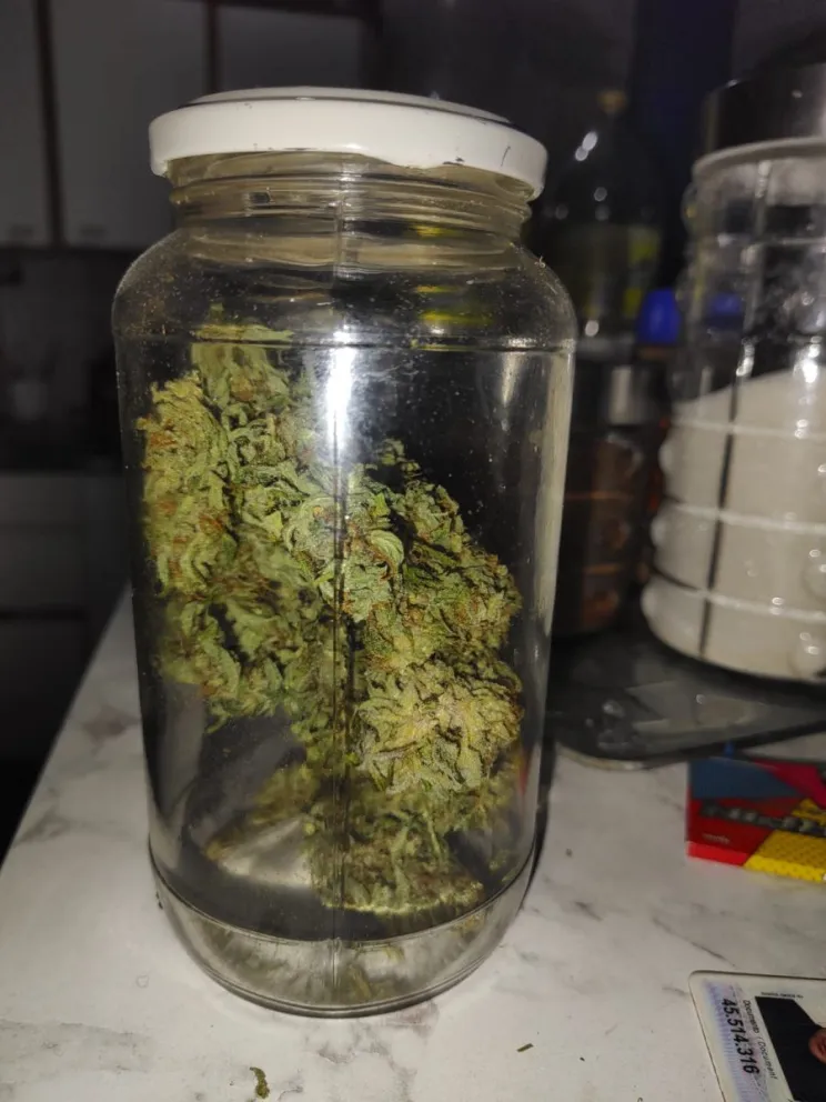 Allanaron cuatro viviendas y detuvieron a dos hombres por venta de droga en los barrios Ceferino y Ex Radio Estación