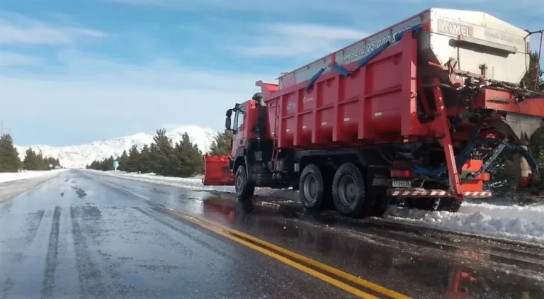 Feriado del 9 de Julio: cómo funcionará la recolección de residuos en Esquel