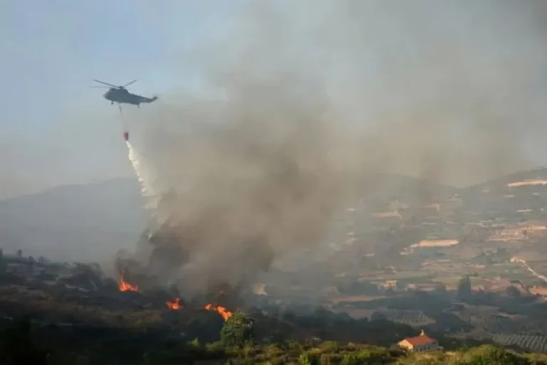 Tragedia en Chipre y Turquía por incendios forestales en medio de ola de calor récord