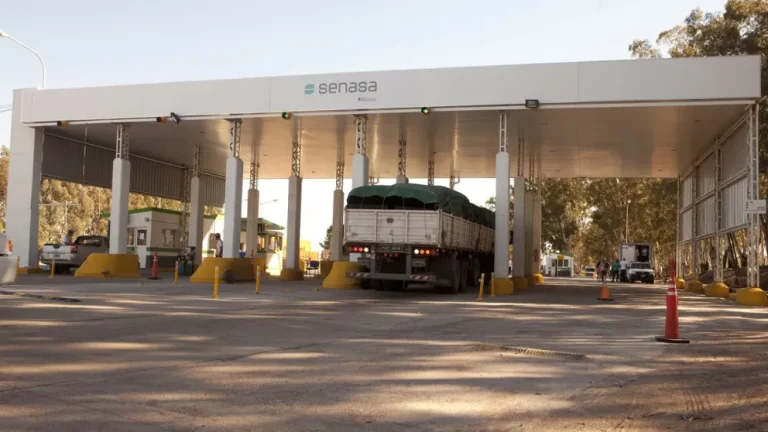 Productores alertan por impacto en exportaciones tras resolución nacional