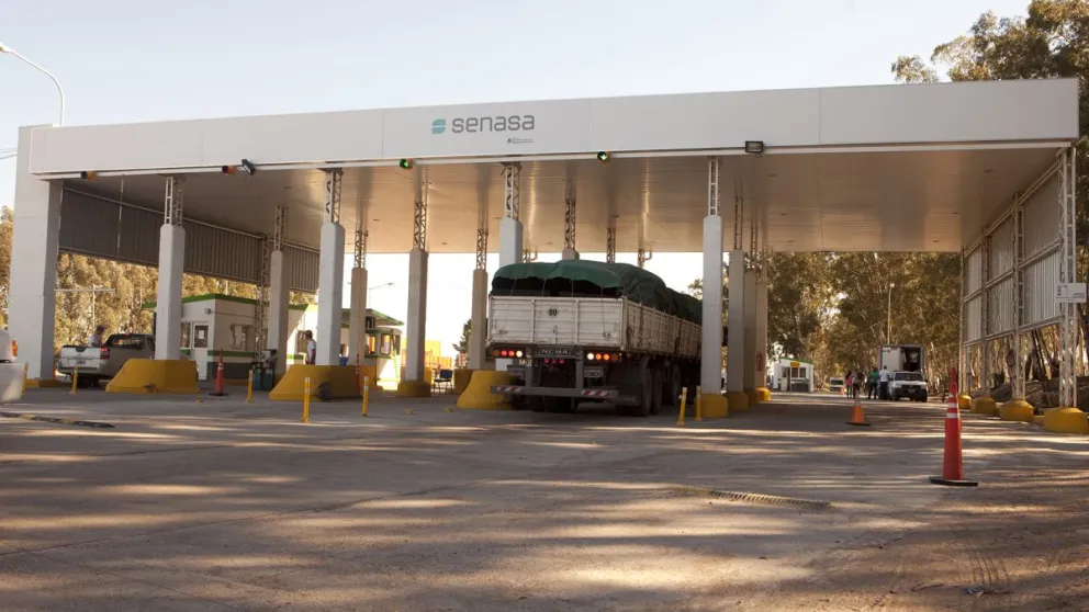 Productores alertan por impacto en exportaciones tras resolución nacional