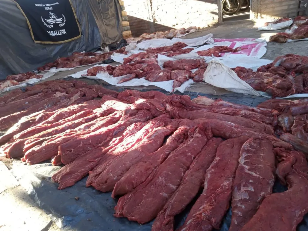 Decomisan 800 kilos de carne, entre cortes de ñandú y guanaco tras demora de camioneta en control en el Valle