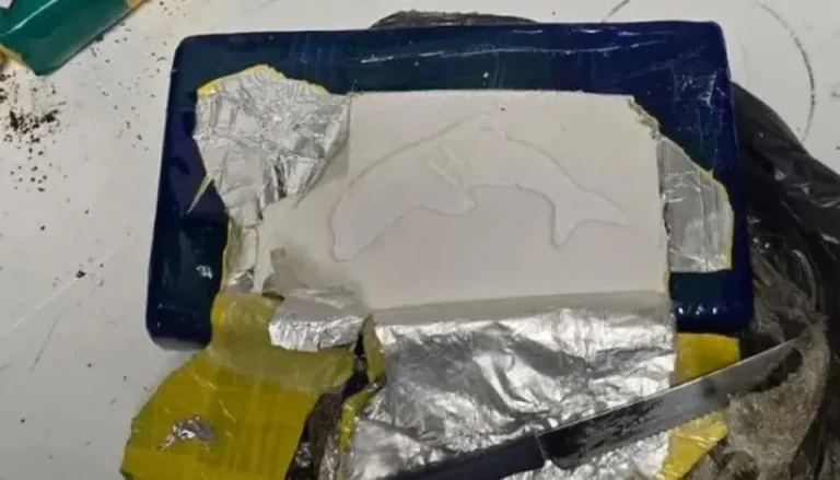 Camionero detenido en Caleta Olivia: llevaba 15 kilos de cocaína e iba consumiendo