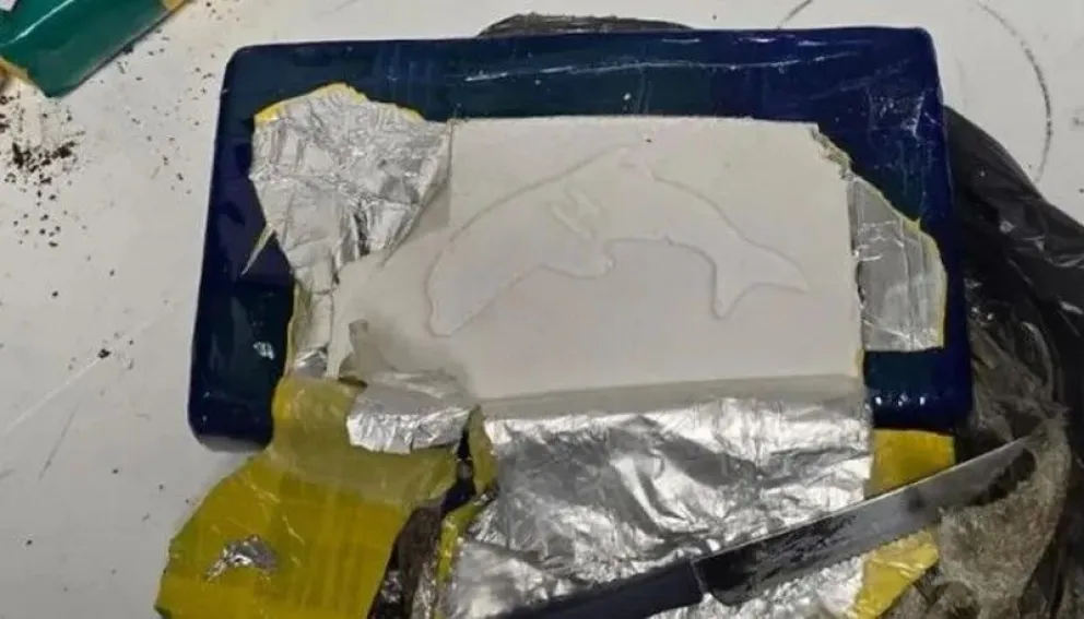 Camionero detenido en Caleta Olivia: llevaba 15 kilos de cocaína e iba consumiendo