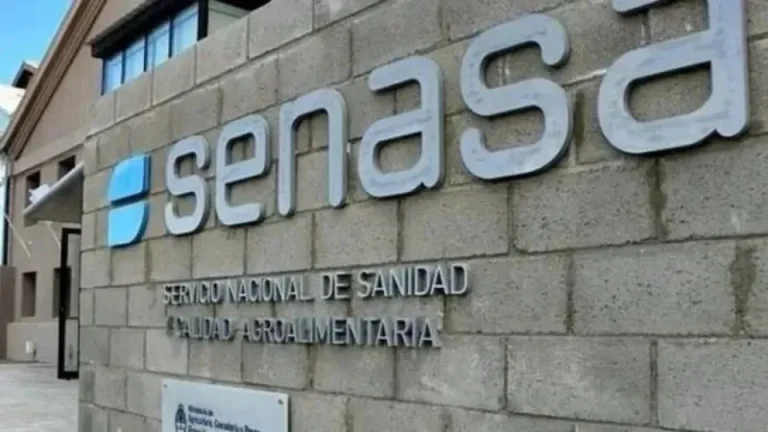 Renunció Pablo Cortese a la presidencia del Senasa tras una fuerte interna por vacunas antiaftosa