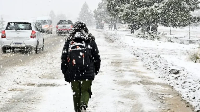 Alerta por nieve en Neuquén y Río Negro