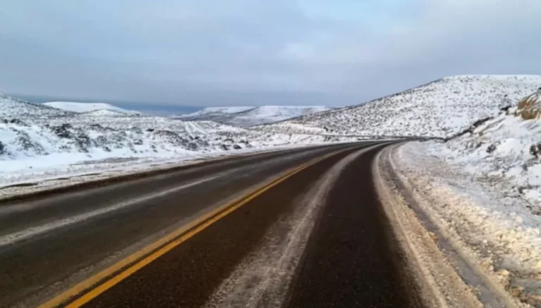 Estado de rutas en Chubut: desvíos, animales sueltos y calzadas húmedas complican la circulación