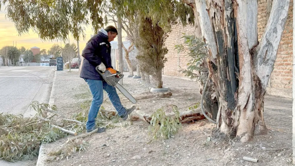 El Municipio de Trelew refuerza su presencia territorial con el mantenimiento de espacios públicos