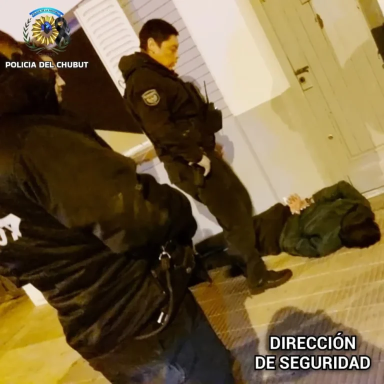 Cayó un ladrón tras activarse la alarma