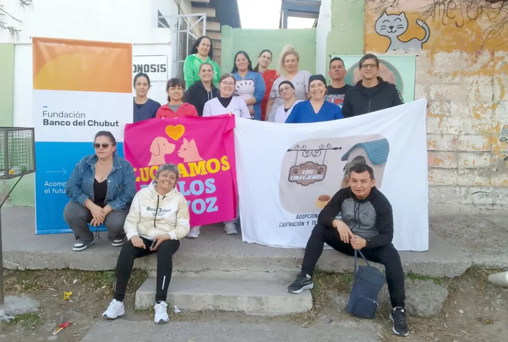 Récord de castraciones gratuitas en Trelew