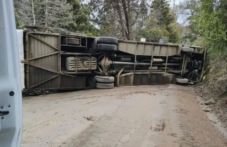 Neuquén: 20 heridos por un vuelco de un colectivo cerca de Villa Traful