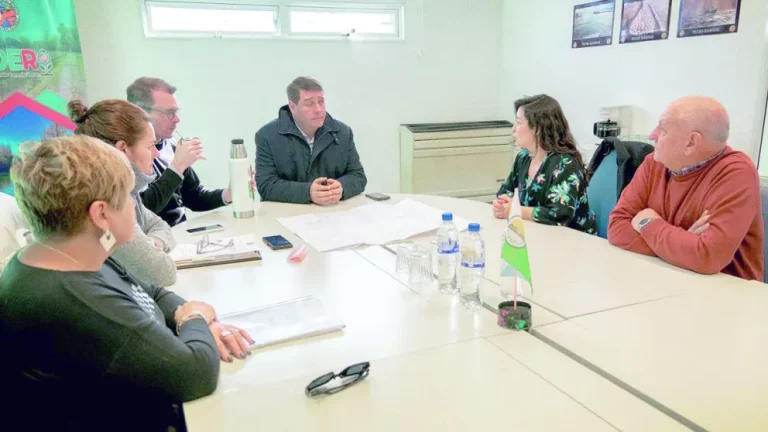 Avanza el proyecto de instalación del primer parque fotovoltaico de Conarpesa en Rawson