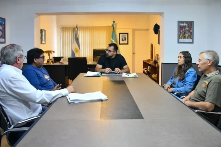 Esquel impulsa beneficios fiscales para taxistas y lanza app para mejorar el servicio de transporte