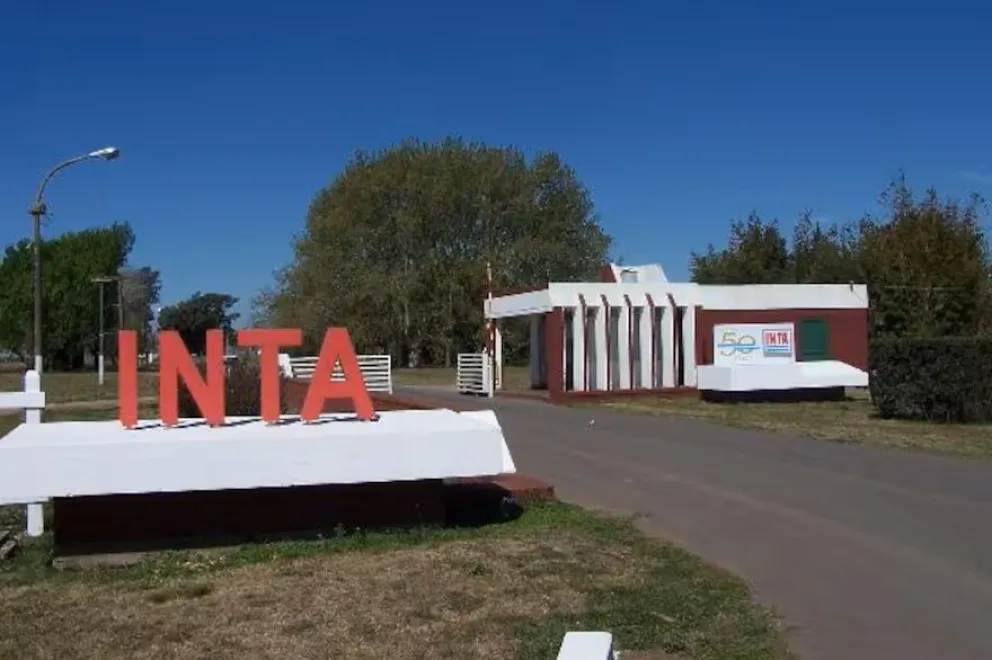 El Gobierno evalúa la venta de más de 40.000 hectáreas del INTA en el marco de una reestructuración del organismo
