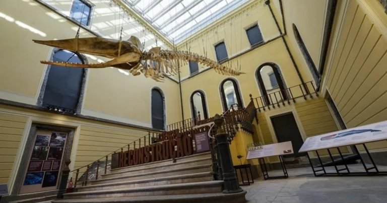 Museo Nacional de Brasil: Siete años después del incendio, el público vuelve al Palacio de São Cristóvão