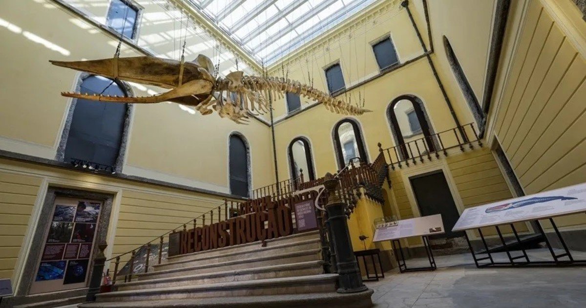 Museo Nacional de Brasil: Siete años después del incendio, el público vuelve al Palacio de São Cristóvão