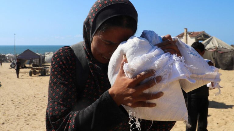 Ejército israelí mata al menos a 23 palestinos en Gaza mientras buscaban ayuda humanitaria