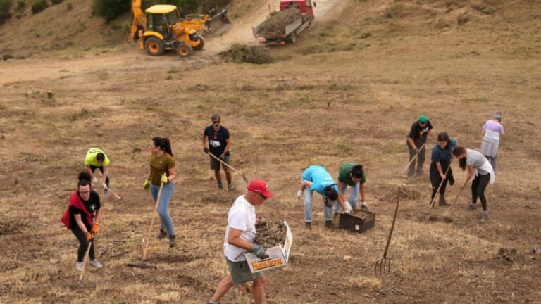 Incendios arrasan 373.000 hectáreas en España; Marruecos bate récords de temperatura