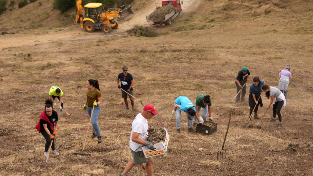 Incendios arrasan 373.000 hectáreas en España; Marruecos bate récords de temperatura