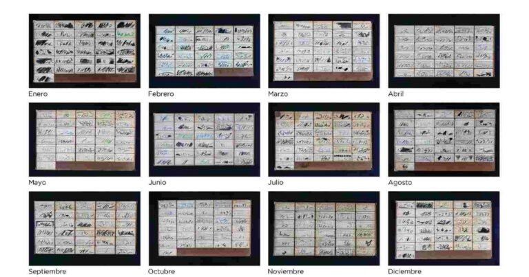 Nora Iniesta expone ‘365, año calendario’ a 41 años de su primera muestra