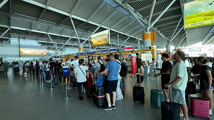 Conchas, caballitos de mar y artículos de piel: ¿Qué es mejor no traerse de las vacaciones?