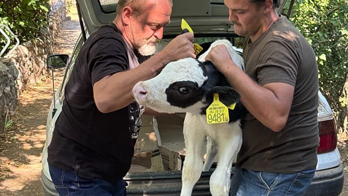 La petrolera MOL negocia en secreto con las víctimas oficiales de la marea negra de Gárdony, mientras los agricultores se arruinan