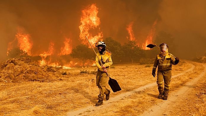 Estos son los 4 niveles de incendios forestales en España según su gravedad y amenaza