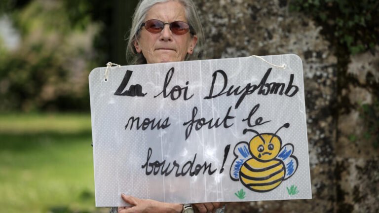 El Consejo constitucional de Francia rechaza la reintroducción de un pesticida que mata abejas