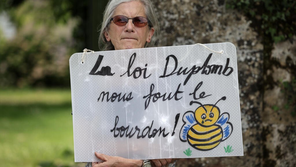 El Consejo constitucional de Francia rechaza la reintroducción de un pesticida que mata abejas