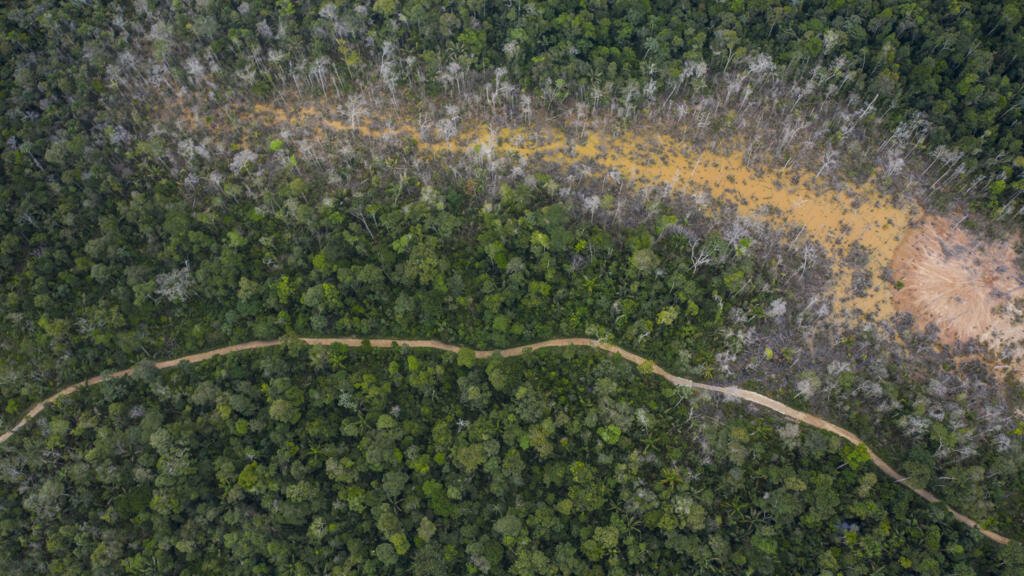 La Amazonía está acorralada por la deforestación, los hidrocarburos y la minería