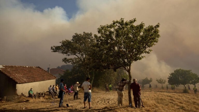 España arde por peor ola de incendios forestales del siglo, pese a la bajada de temperaturas