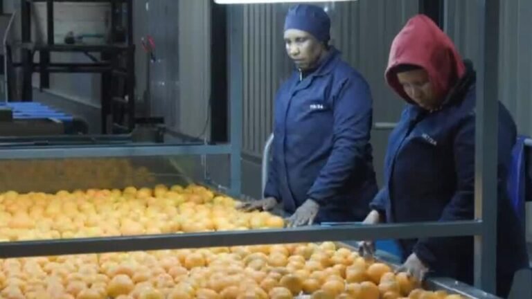 Varios países reaccionan a los nuevos aranceles anunciados por Donald Trump