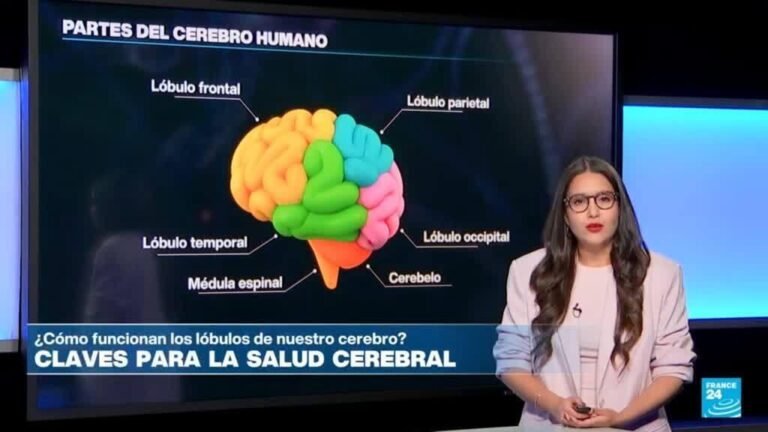 ¿Cómo cuidar la salud del órgano más importante del cuerpo humano?