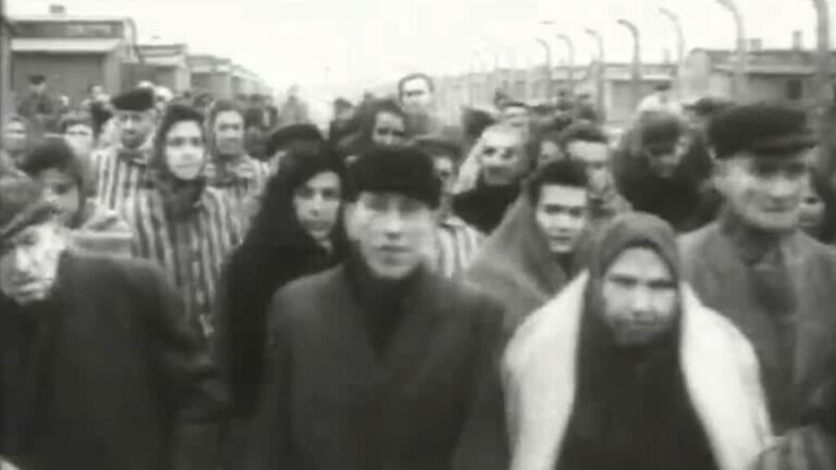 Recordando el holocausto olvidado: el genocidio de los gitanos romaníes