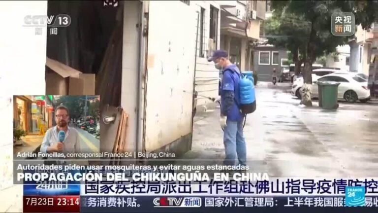 Informe desde Beijing: alerta por propagación de chikunguña en China