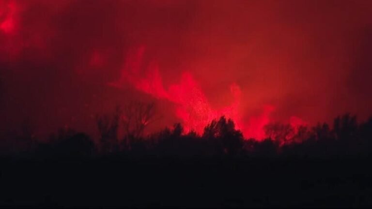 Francia combate el mayor incendio forestal del año hasta ahora