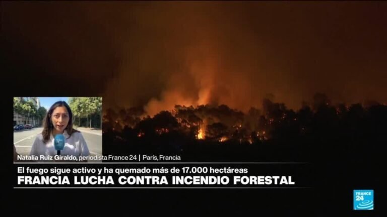 Informe desde París: avanzan las labores para apagar incendio forestal al sur de Francia