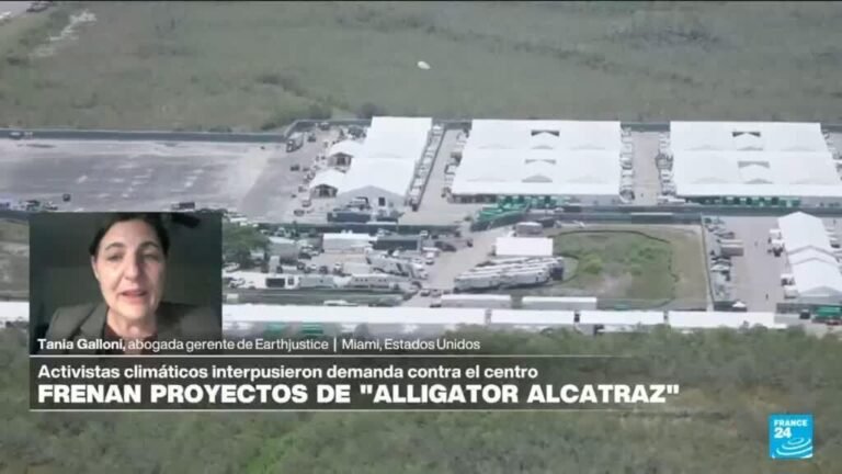 Tania Galloni: "Construcción de 'Alligator Alcatraz' en Everglades pone en peligro al ecosistema"