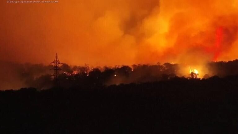 Voraces incendios forestales azotan países del Mediterráneo