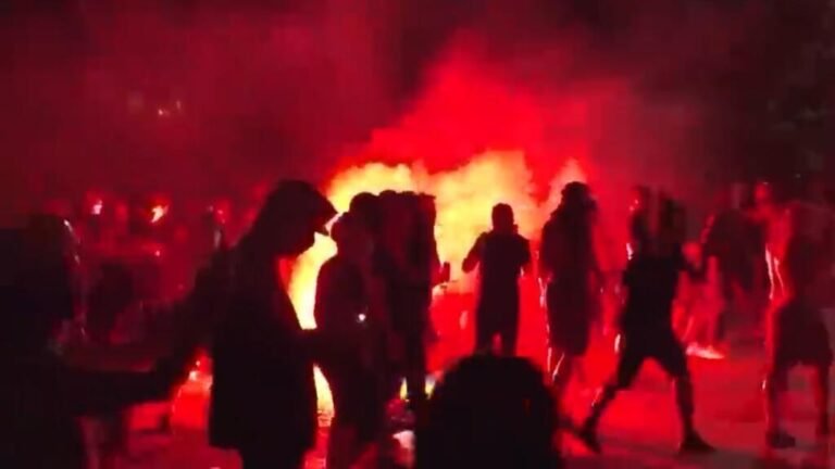 Nuevas manifestaciones en Serbia; presidente Vucic las califica de "terroristas"