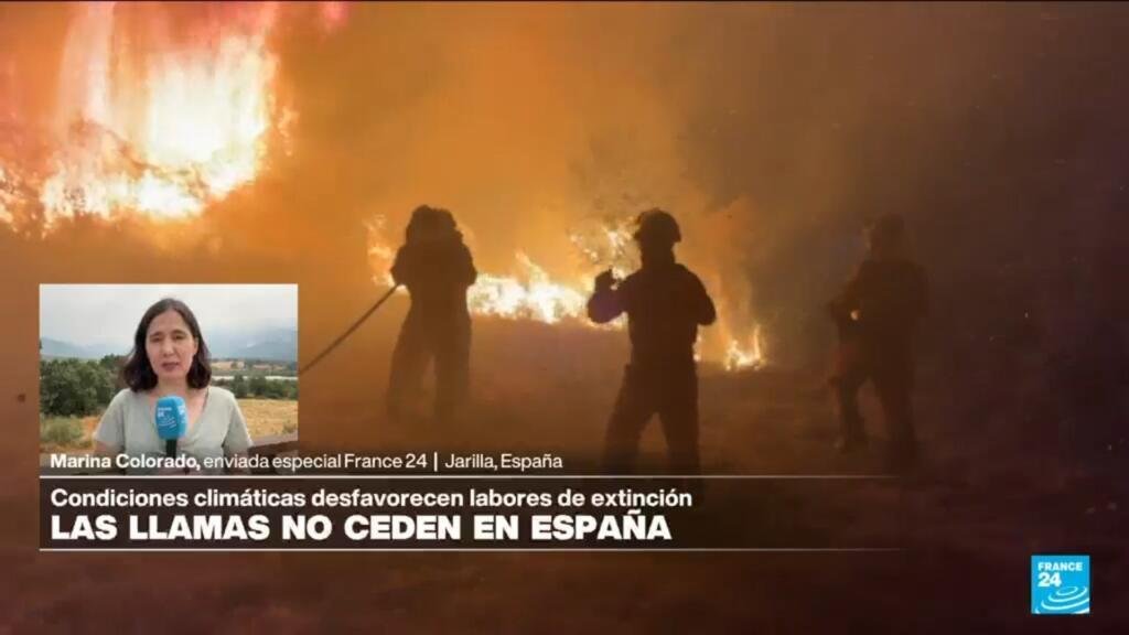 Informe desde Jarilla: condiciones climáticas dificultan trabajo de bomberos en incendios forestales