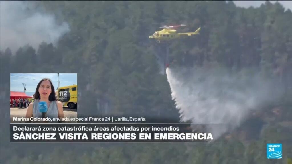 El Gobierno de España declarará zonas catastróficas áreas afectadas por incendios