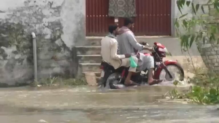 Crisis climática: fuertes incendios e inundaciones golpean el mundo