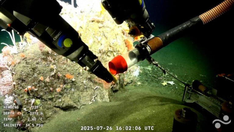 Los argentinos, fascinados con la transmisión en vivo de una expedición submarina