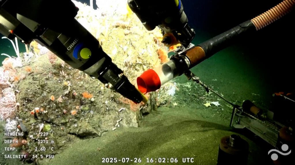 Los argentinos, fascinados con la transmisión en vivo de una expedición submarina