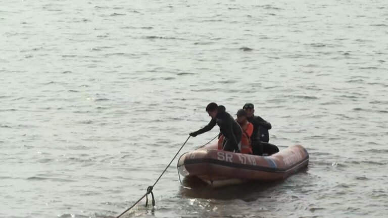 La muerte de una segunda ballena frente a las costas de Buenos Aires genera preocupación