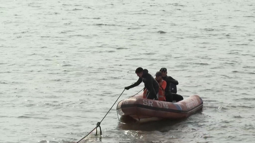 La muerte de una segunda ballena frente a las costas de Buenos Aires genera preocupación