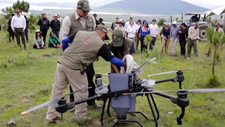 En México, drones para reforestar miles de hectáreas quemadas
