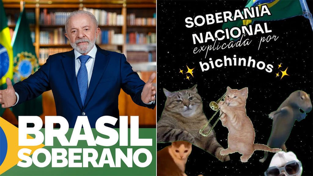 Lula recupera aliento con una mezcla de gatitos, capibaras e inteligencia artificial