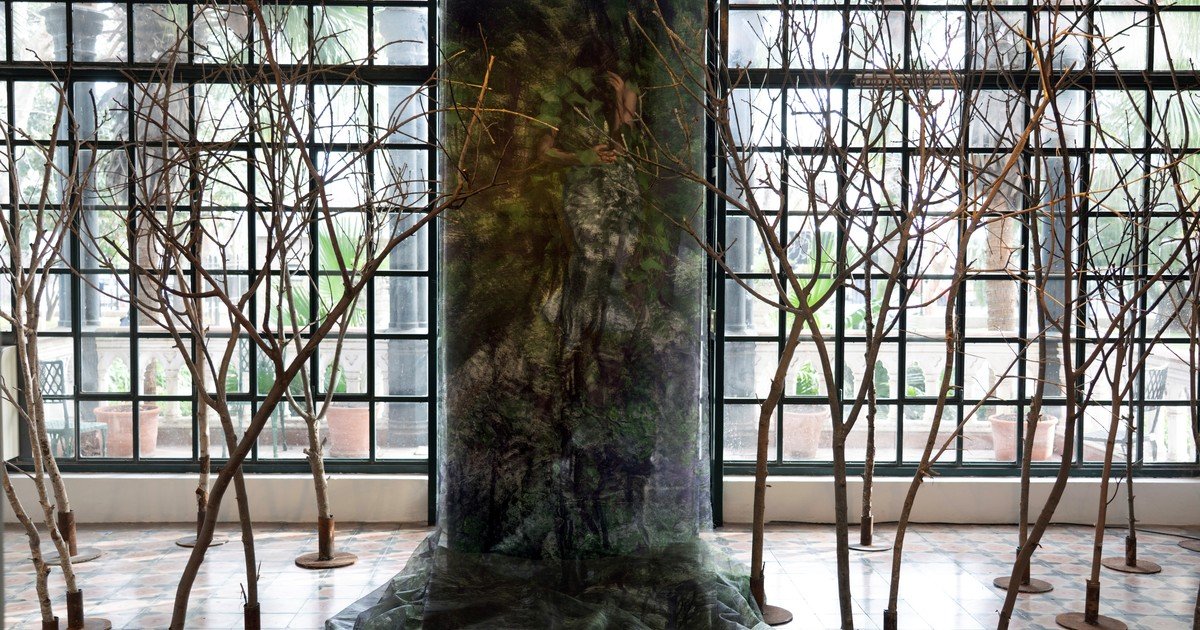 ‘Confluencias’: siete fotógrafos exhiben naturaleza en el castillo del Colegio Marín